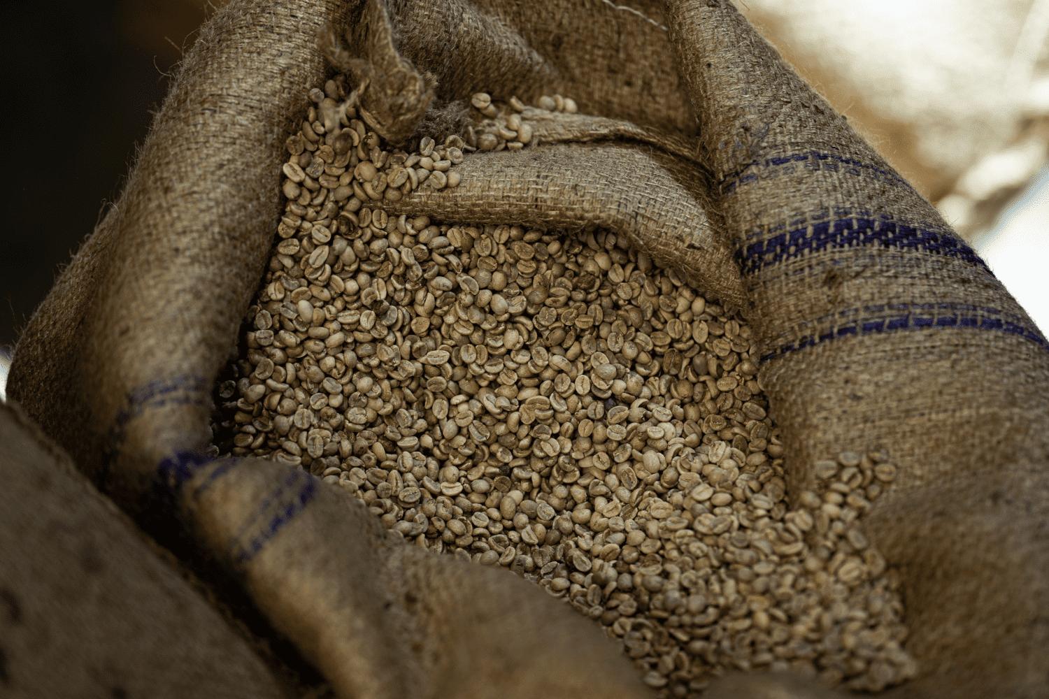 Rohkaffee aus Peru "FRAUEN-PROJEKT" GR1 kbA