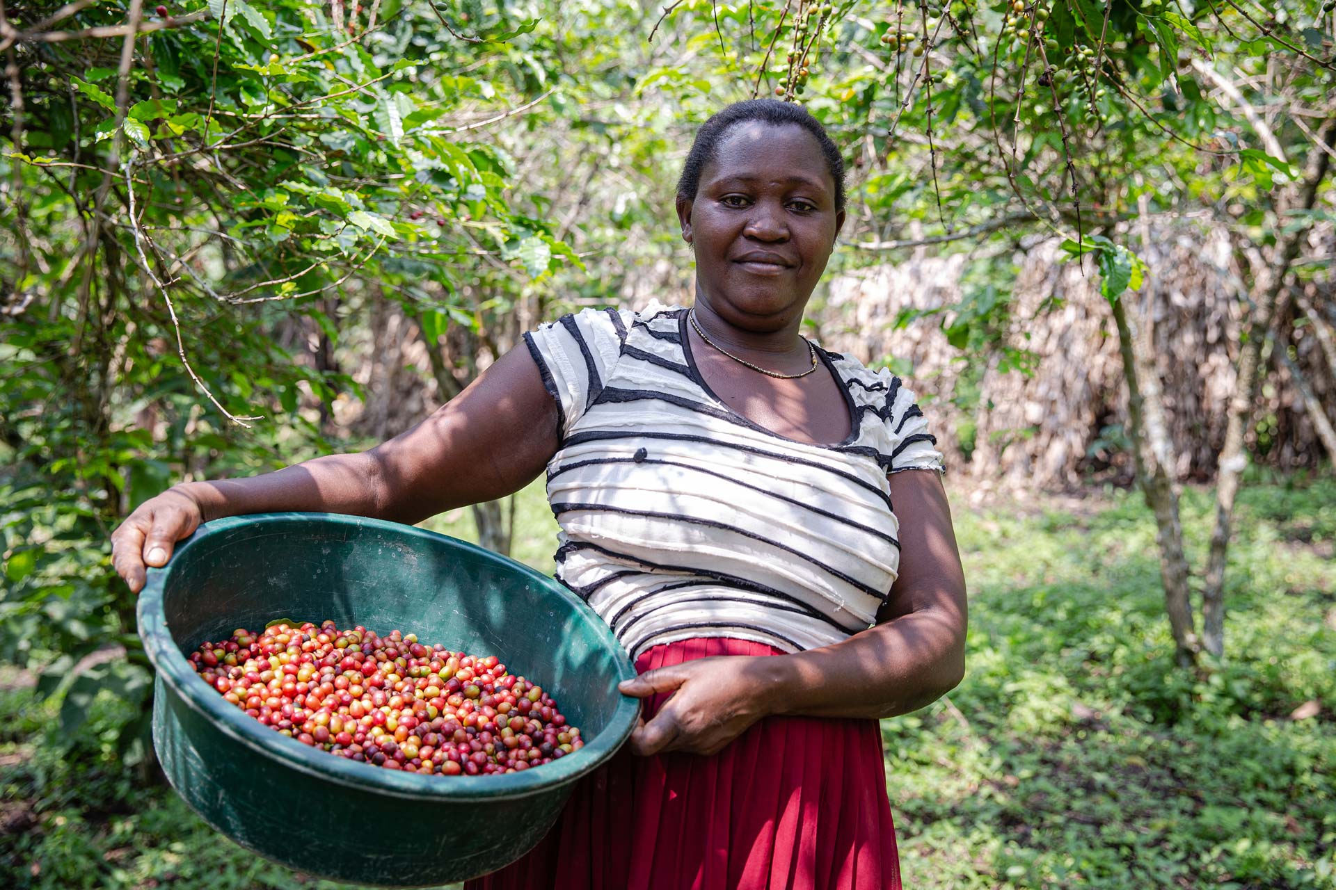 Kaffeebäuerin Uganda